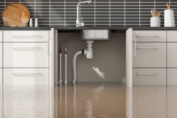Best Water damage restoration specialists  in Morrisonvle, IL